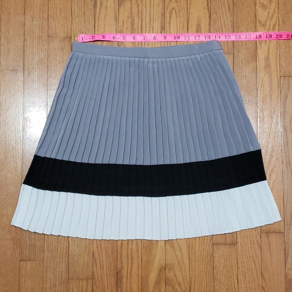 Smart Set Pleated Skirt